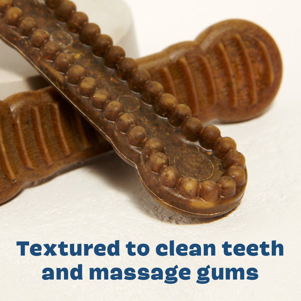 Bright Durable Dental Kit, 15 Ct Chews + Toothpaste