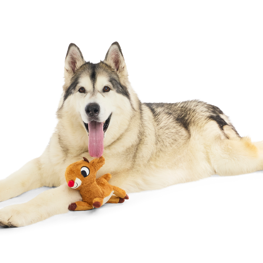 Rudolph® Holiday Gift BarkBox