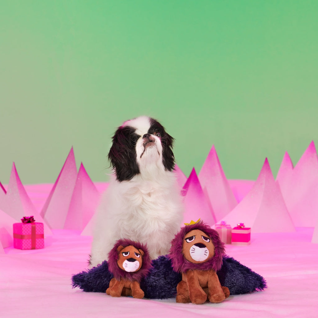 Rudolph® Holiday Gift BarkBox