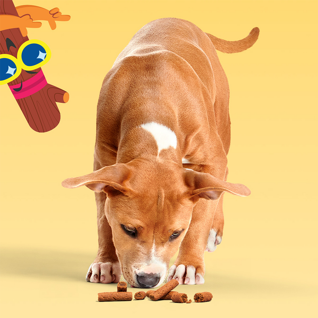 Beefy Meat Hunks Dog Treats, 24 oz