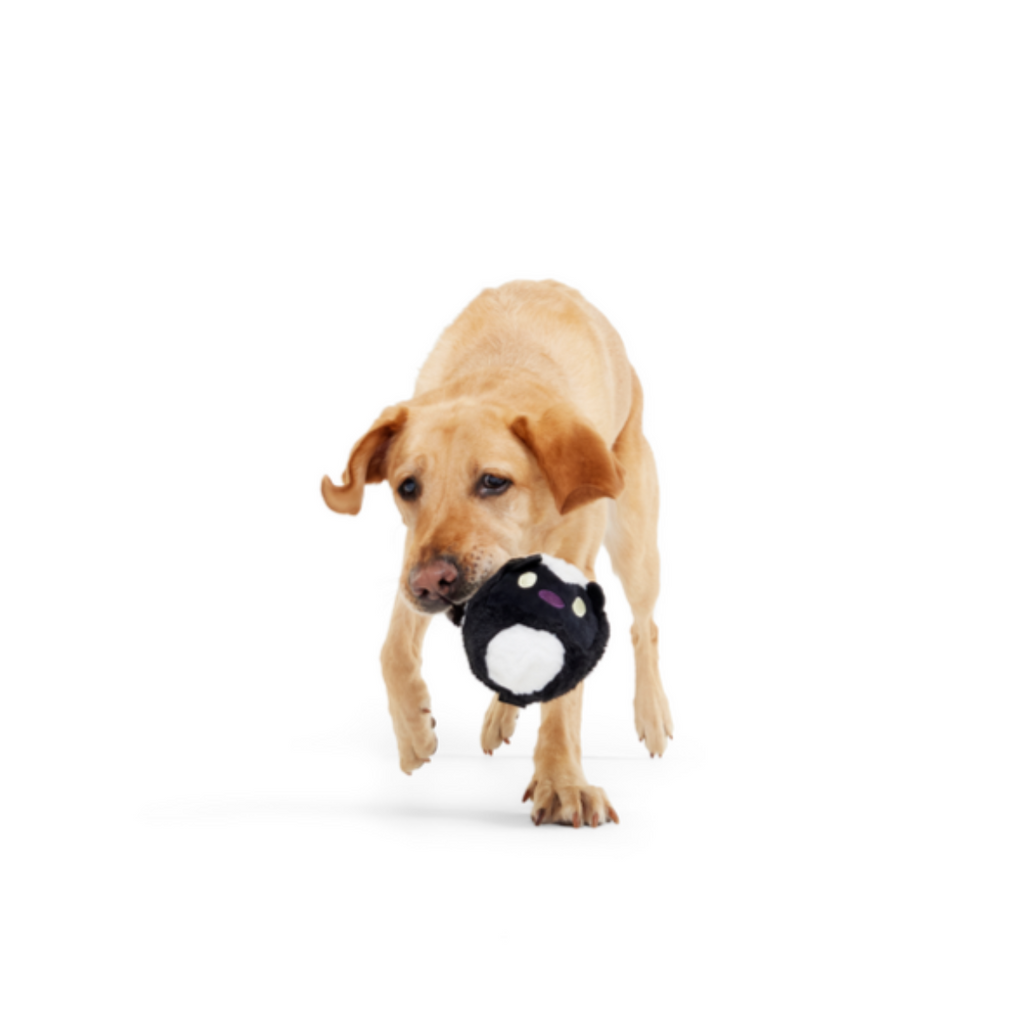 Hunky Skunky Durable Super Chewer 2-in-1 Rip and Reveal + Fetch Dog Toy
