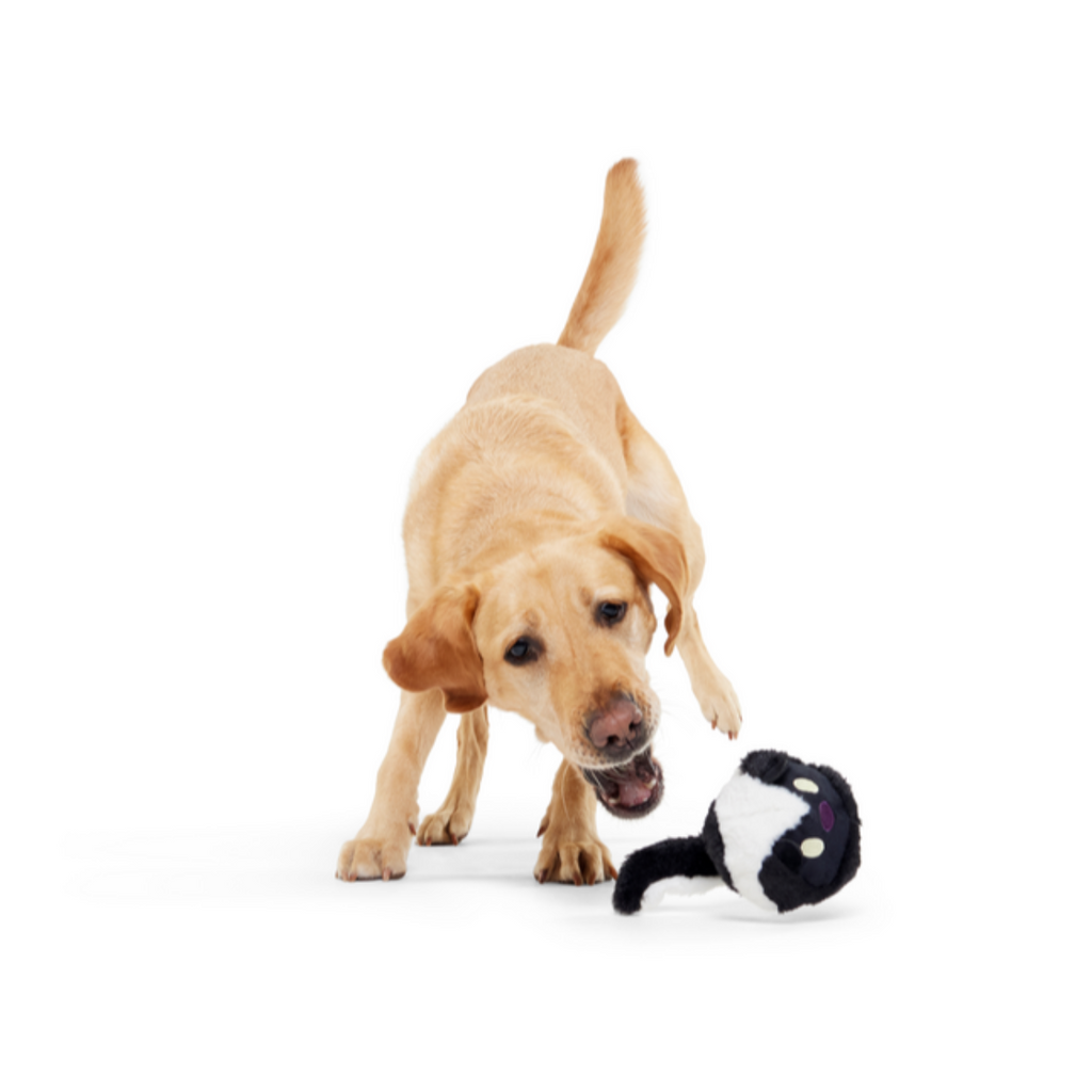 Hunky Skunky Durable Super Chewer 2-in-1 Rip and Reveal + Fetch Dog Toy