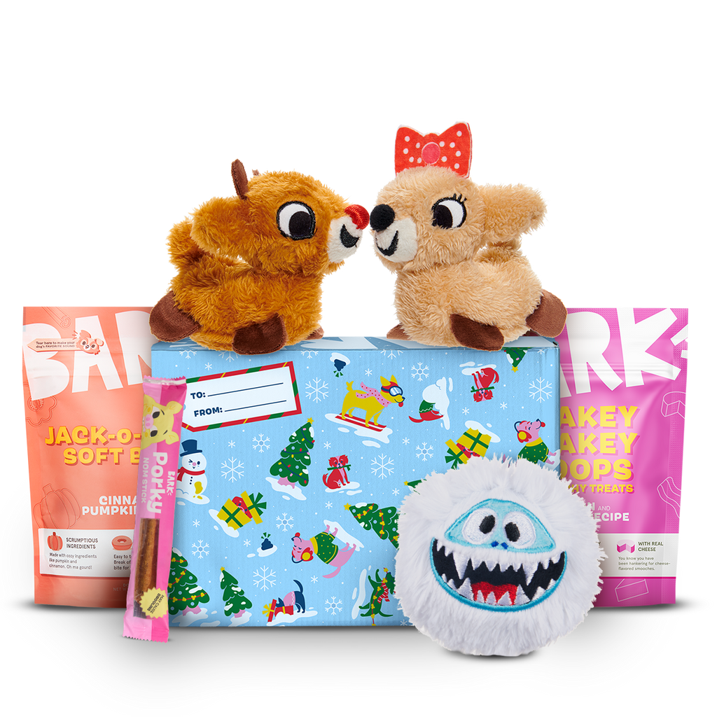 Rudolph® Holiday Gift BarkBox